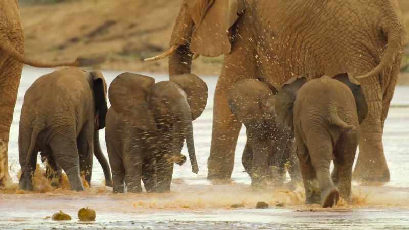 And youngsters get together for a pool party