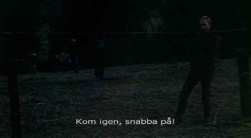 Andale, Andale!