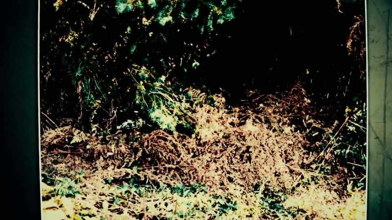 ANDREJS EGLITIS: The bodies in the forest