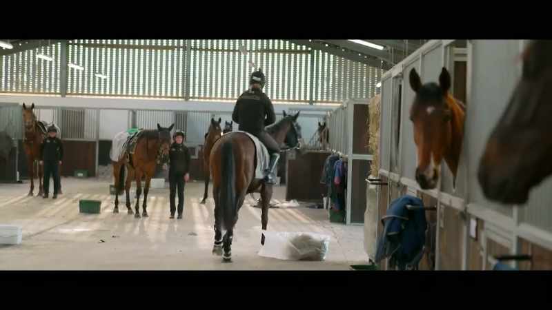 Andrew's biggest task is to identify and nurture the right horse