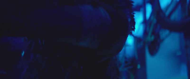 Androids see UV