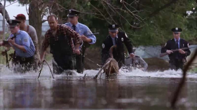 Andy Dufresne escaped from Shawshank Prison
