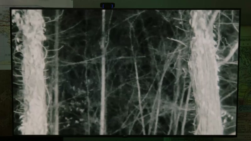 ANDY: I perceived it to be in the woods