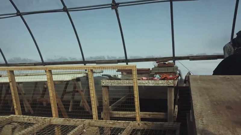 Andy: We started the greenhouse late this year