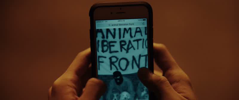 Animal liberation front?