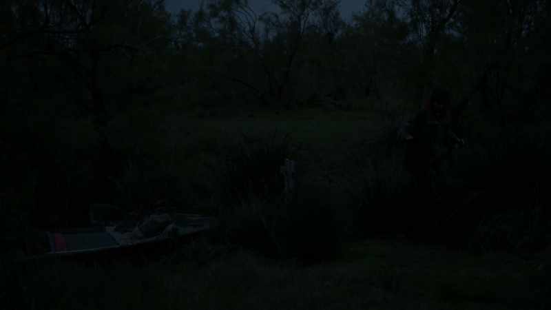 (animals chattering) -(twigs breaking)