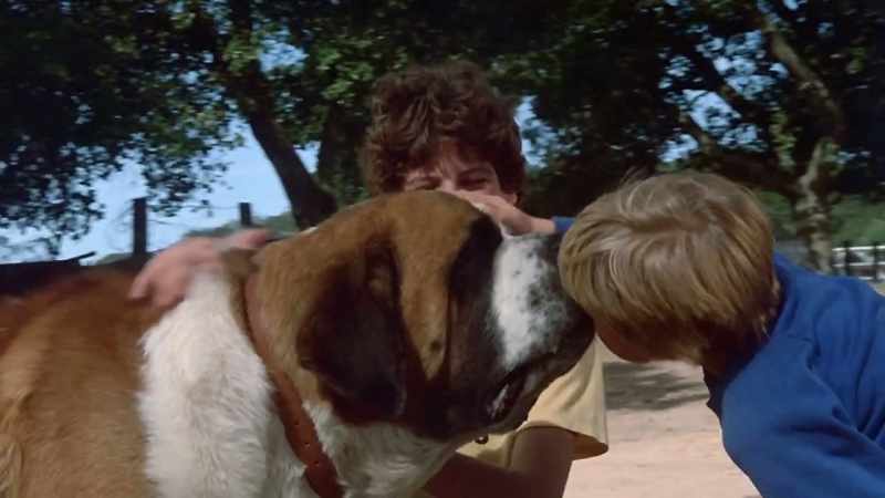 Animals we consider friendly or harmless