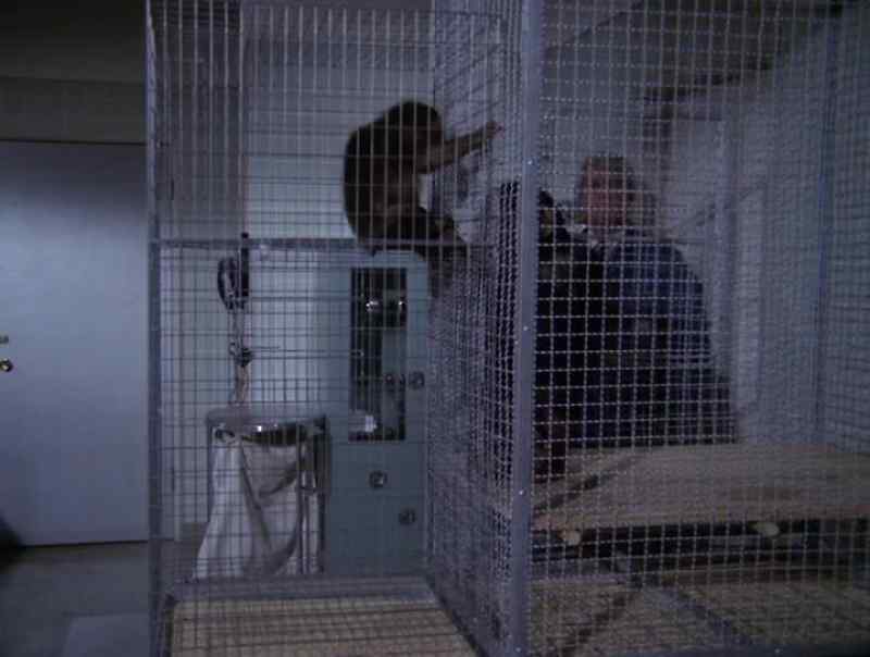 ANIMALS FOR THEIR LAB EXPERIMENTS