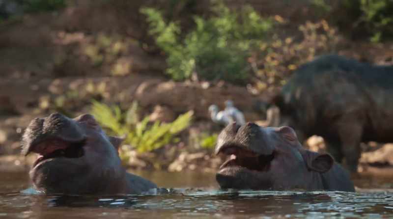 ANIMALS: ♪ Let every creature go for broke and sing ♪