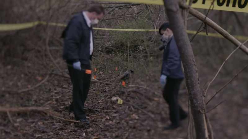 Animals scavanged these bones, dragging