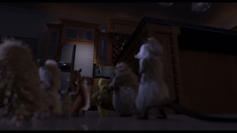 Animals we're in the house
