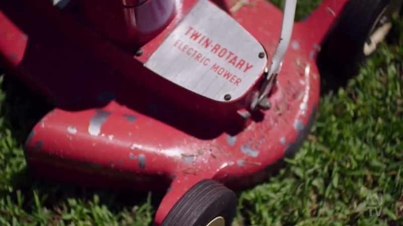 ANJA TAYLOR: Built for domestic use, electric mowers