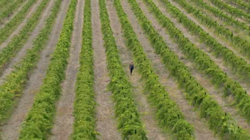 Anja's in South Australia visiting Angove Winery