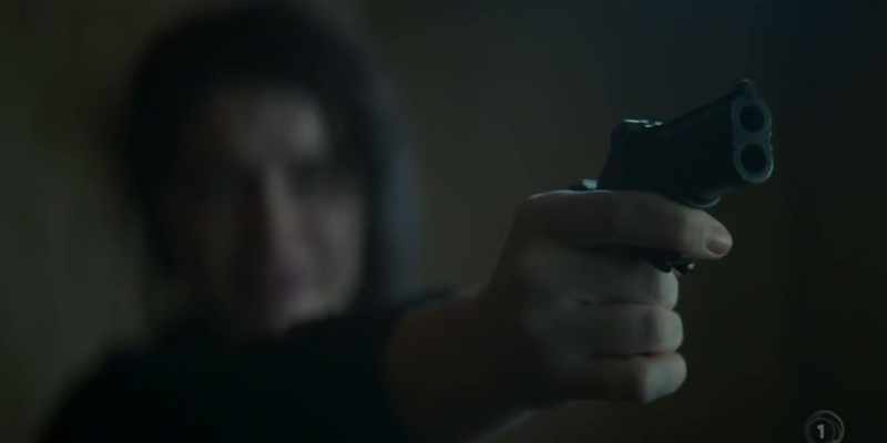 Anna, for Christ's sake, put the gun away