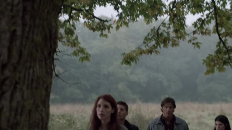 Anna, what are we even looking for?