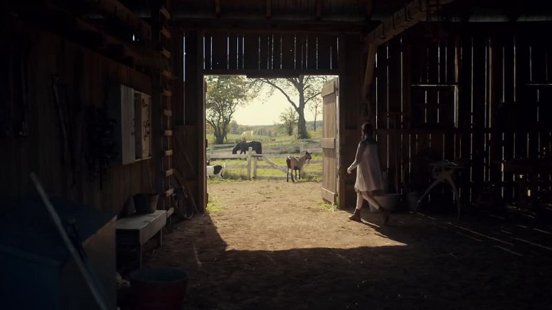 [Anne] Goodbye, Belle. -[Belle neighing softly]