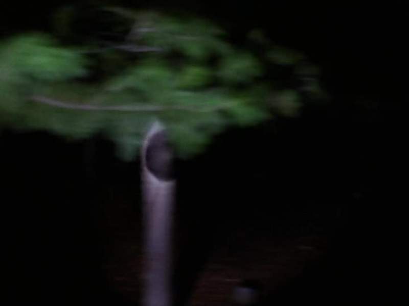 Annie Our bones are scattered at the grave's mouth