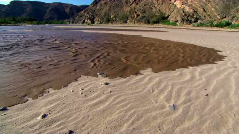 Annual floods brought nutrient rich waters