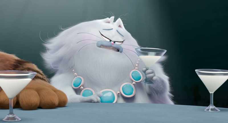 Another cat would be bent on revenge