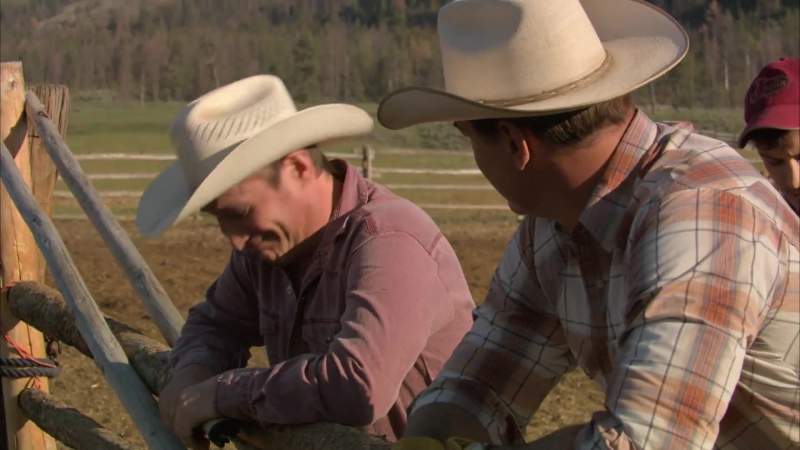 Another great bonding moment boss I'm gonna sock you