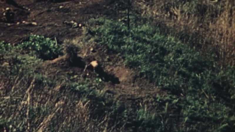 ANOTHER MARINE TUMBLES DOWNHILL, SHOT THROUGH BOTH LEGS
