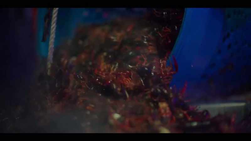 Another name for crawfish would be mudbugs