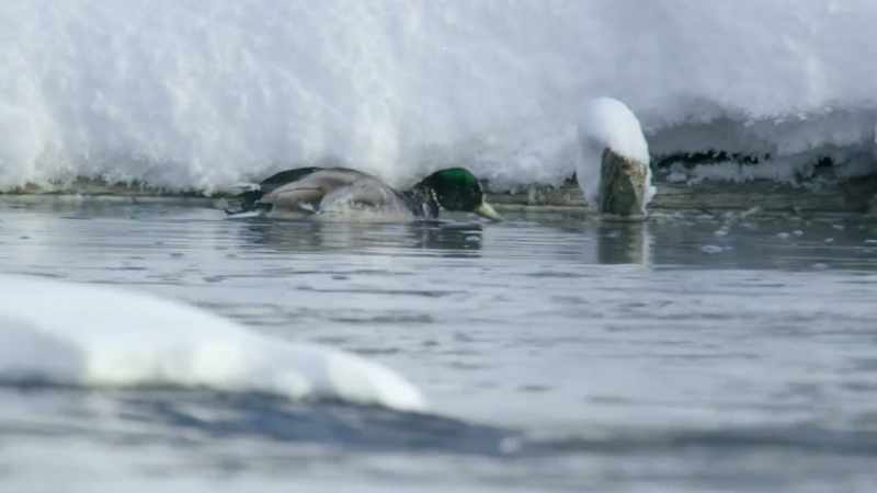 Another opportunity drifts away