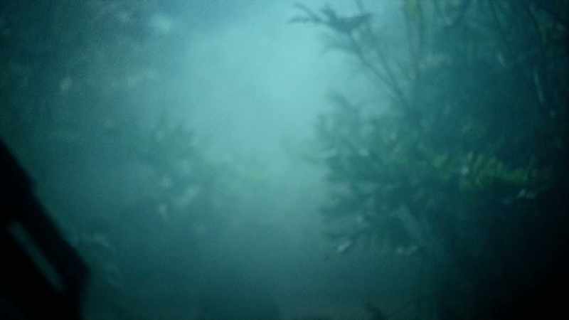 Another recording features the crying, screaming