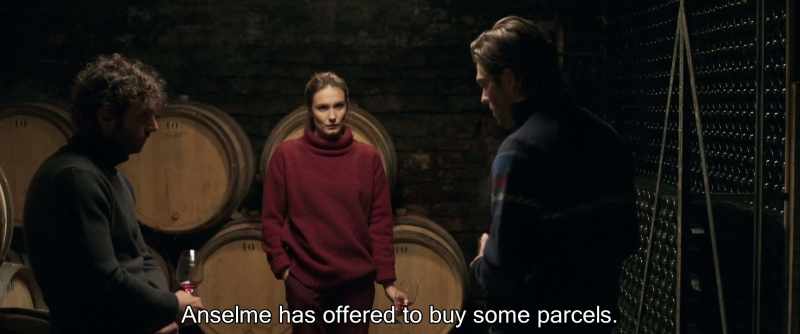 Anselme has offered to buy some parcels