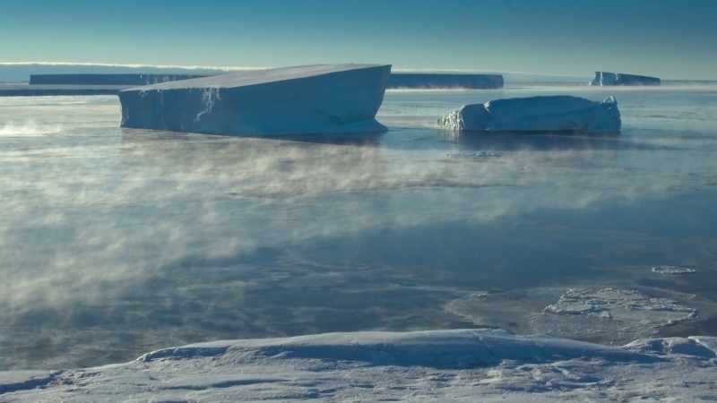 Antarctica now undergoes a major transformation