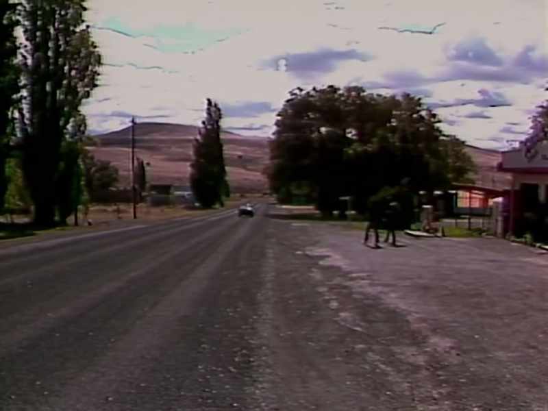 Antelope started to change when the ranch doubled in size