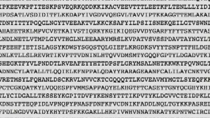 Anthony fauci: As soon as that sequence went up
