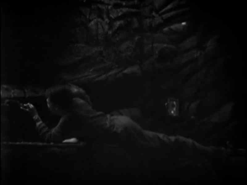 ANTODUS: Help me! Help me!