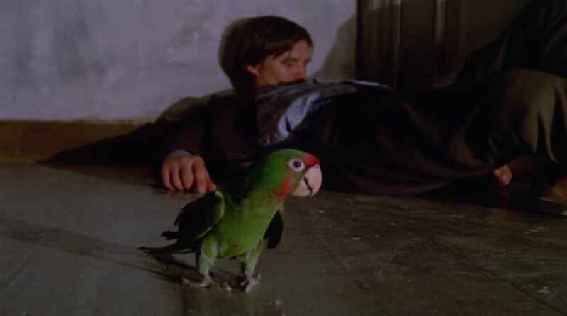 Anton? (bird squawk)