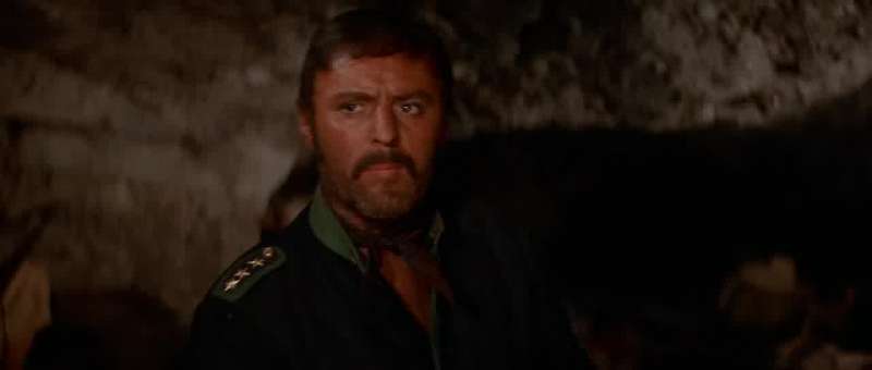 A colonel commands a full regiment