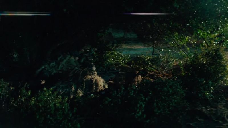 Any sign of Jin?