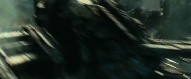 Any sign of them?