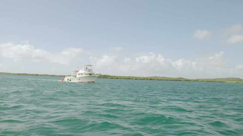 Any vessels in the area? -Please help