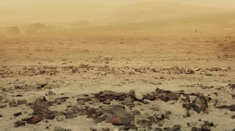 Anyone dumb enough to aimlessly wander the desert
