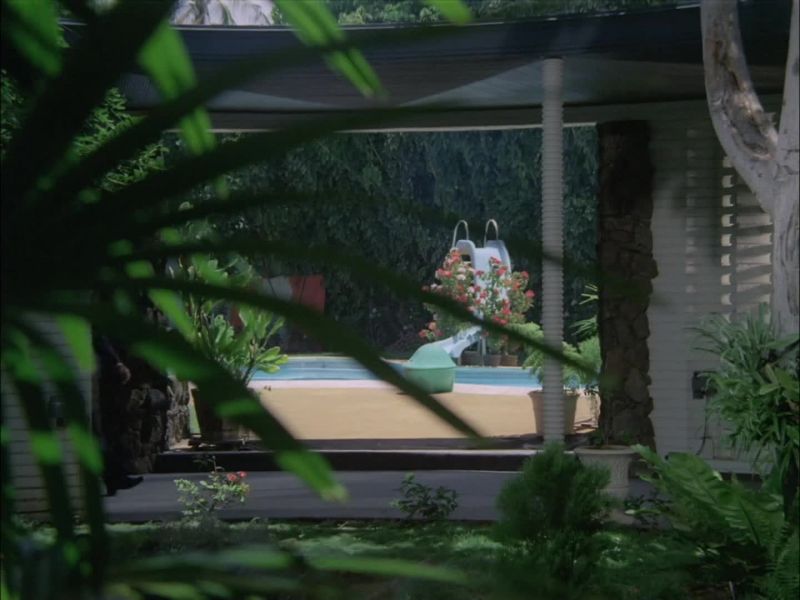 ANYONE ELSE HOME WHEN IT HAPPENED?