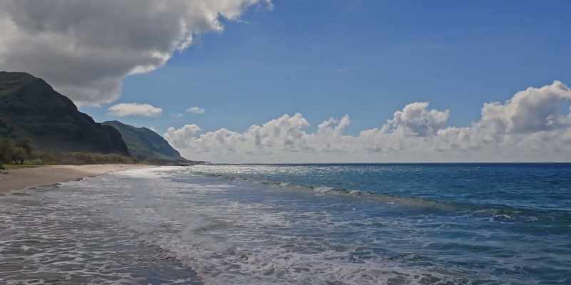 Anyone who goes to Hawaii, you get off