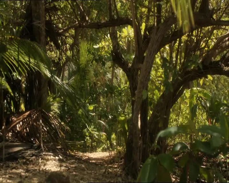 Anyone know where this leads?