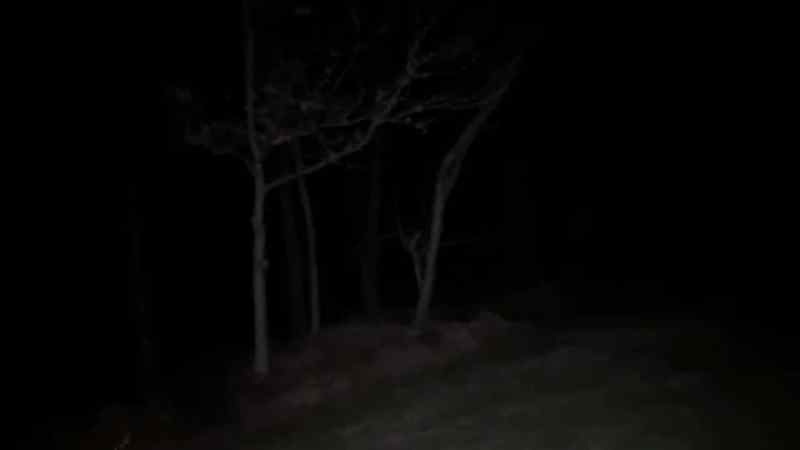 Anything out here?