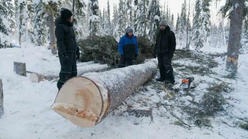 Anything that's not usable, will go into the wood stove