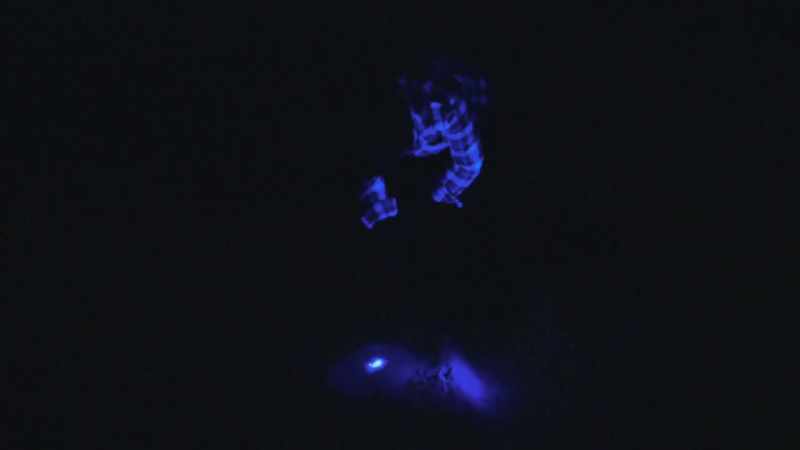 Anything that's potch or opal will fluoresce, so you can immediately see it