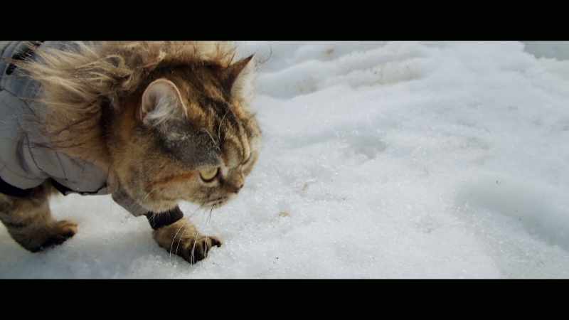 Anytime we get her in the snow