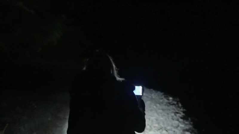 Anytime you're in the forest