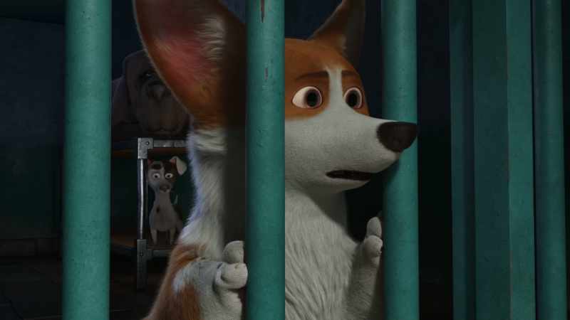 Anyway, that crazy dog will kill us all