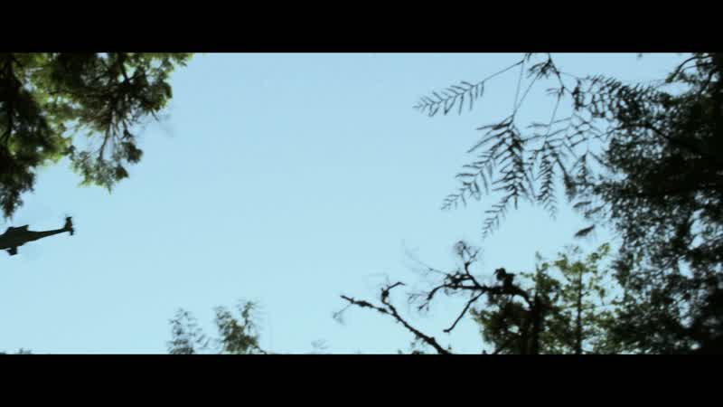Apache pilot 1: You see any movement?
