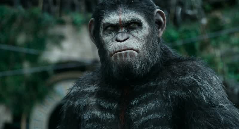 Apes... do not want war... but will fight... if we must